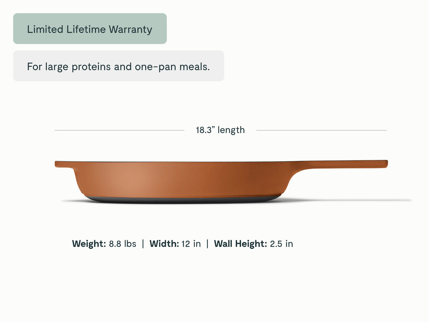 Cast Iron 12 inch Skillet
