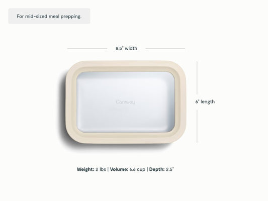 Medium Storage Container