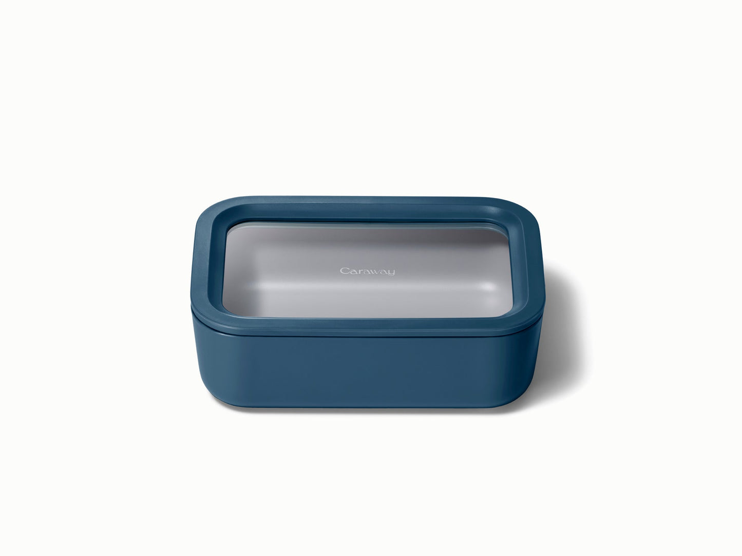Medium Storage Container