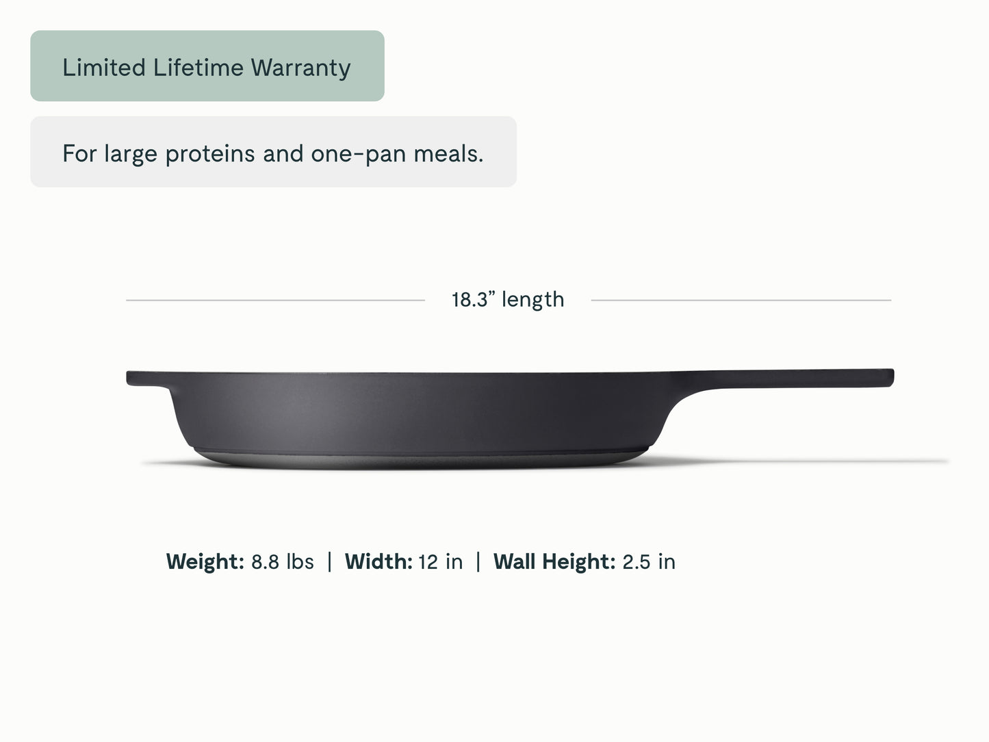 Cast Iron 12 inch Skillet