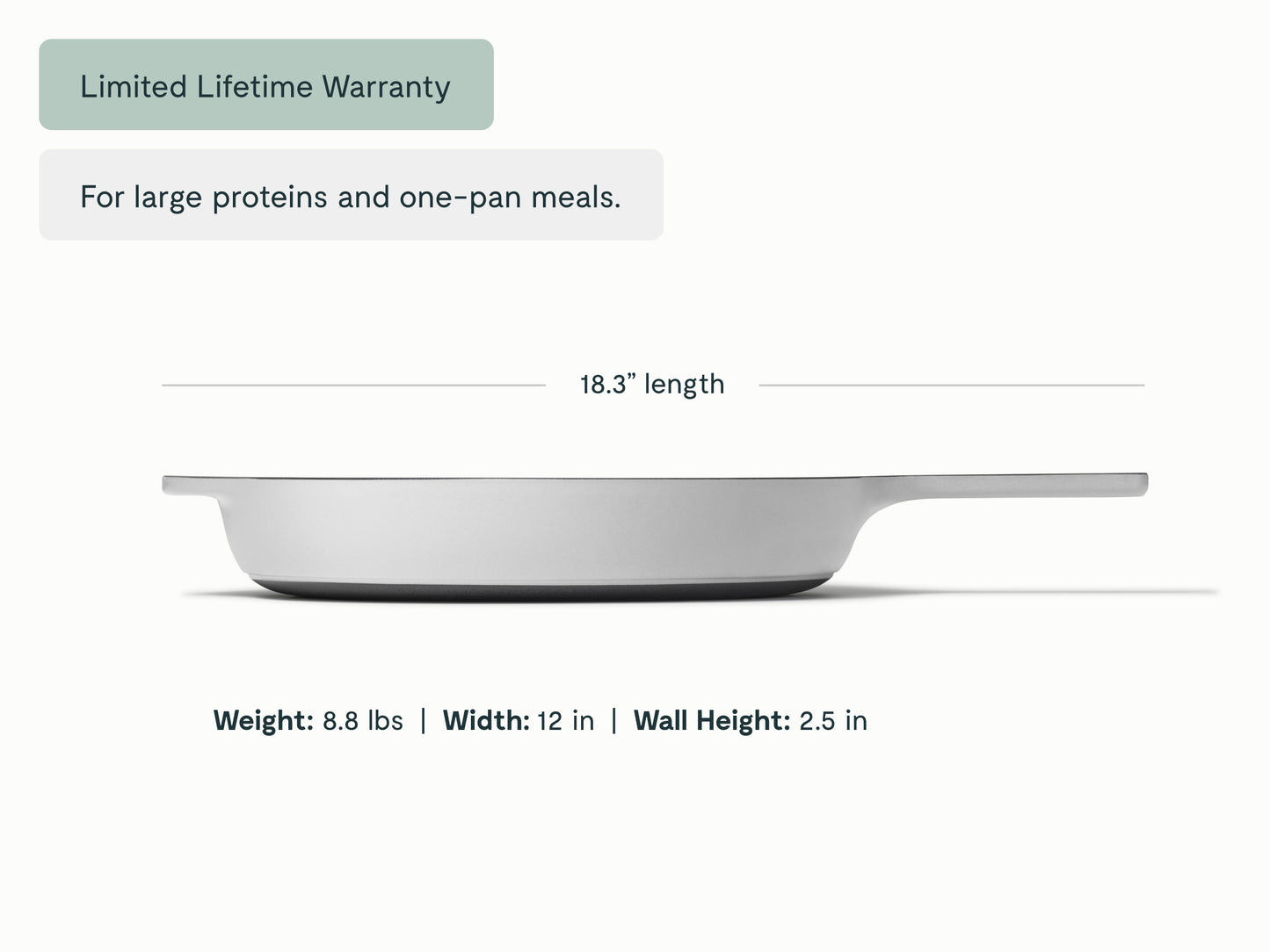 Cast Iron 12 inch Skillet