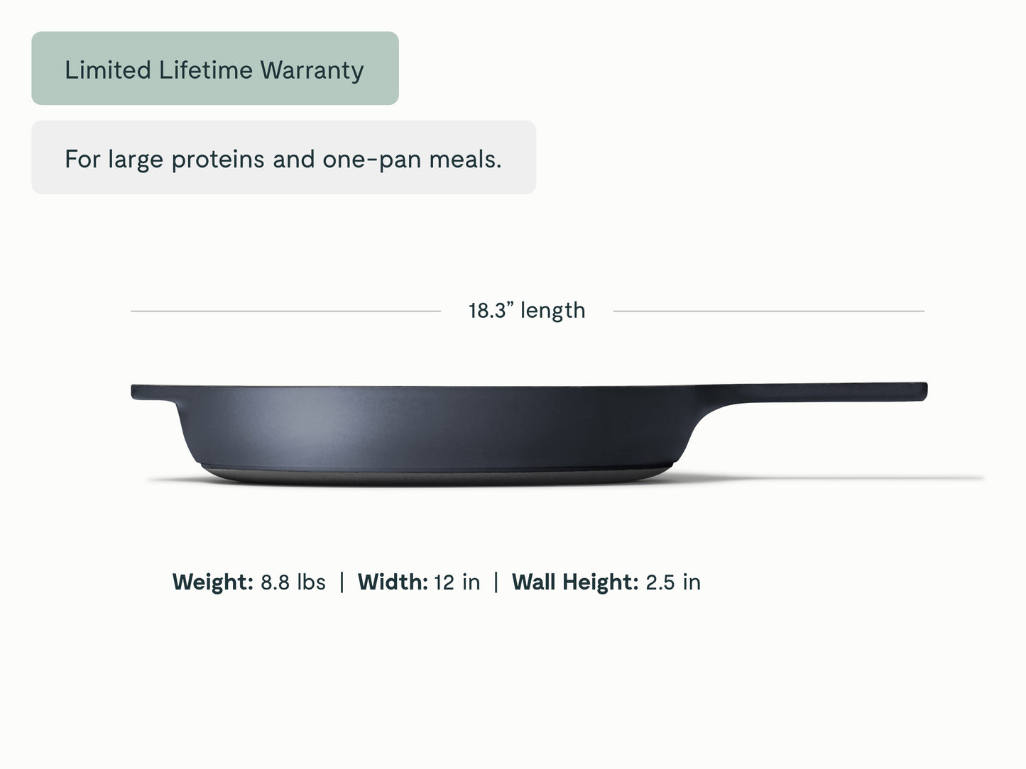 Cast Iron 12 inch Skillet