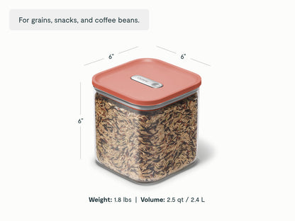 2.4 L Medium Glass Airtight Container