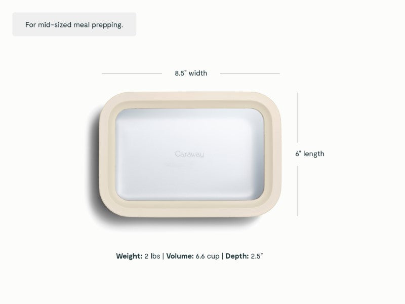 Medium Storage Container