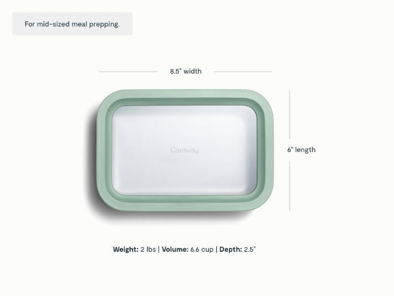 Medium Storage Container