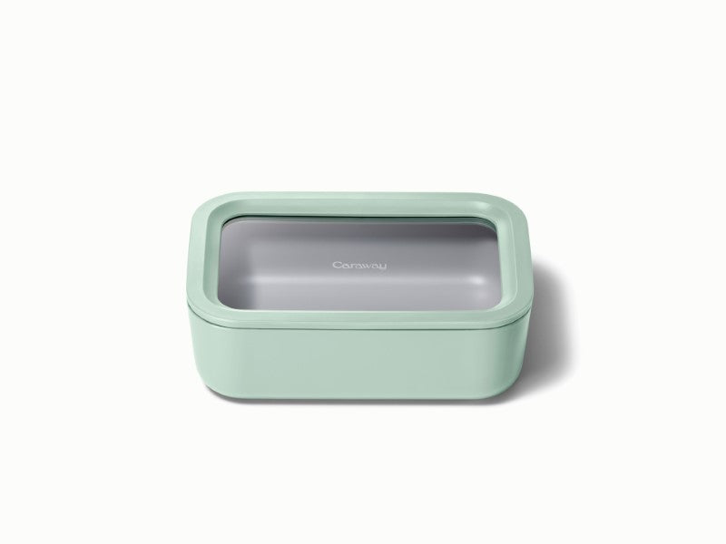 Medium Storage Container