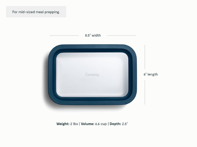 Medium Storage Container