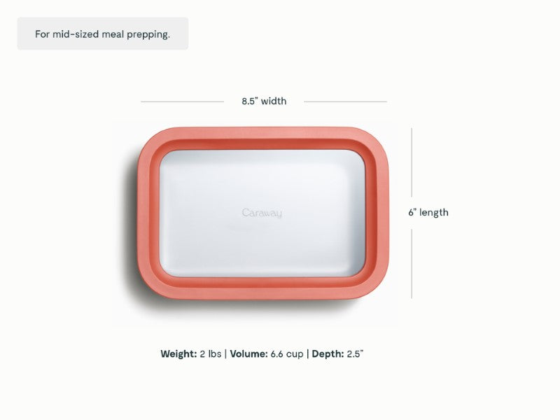 Medium Storage Container