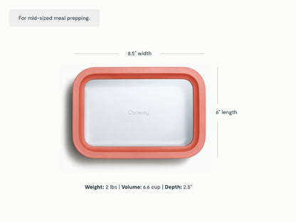 Medium Storage Container