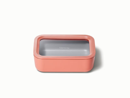 Medium Storage Container