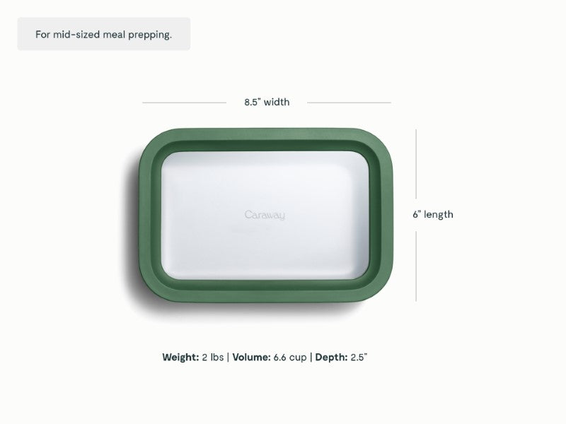 Medium Storage Container