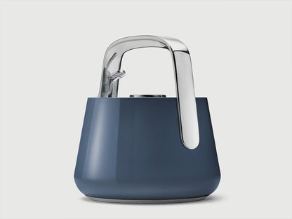 Whistling Tea Kettle