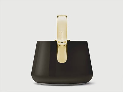 Whistling Tea Kettle