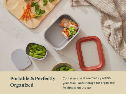 Mini Dash Containers