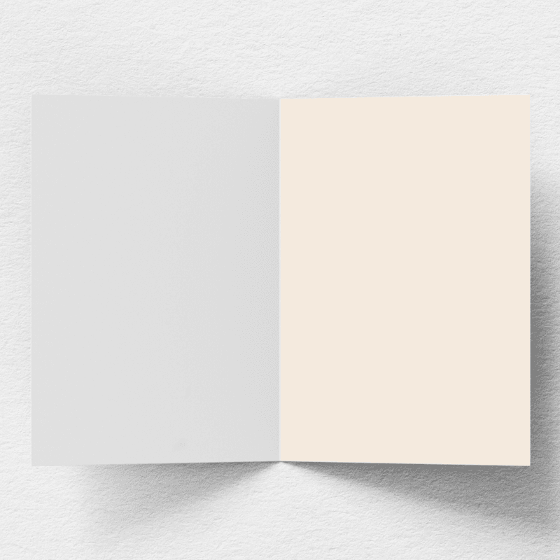 rendered_1