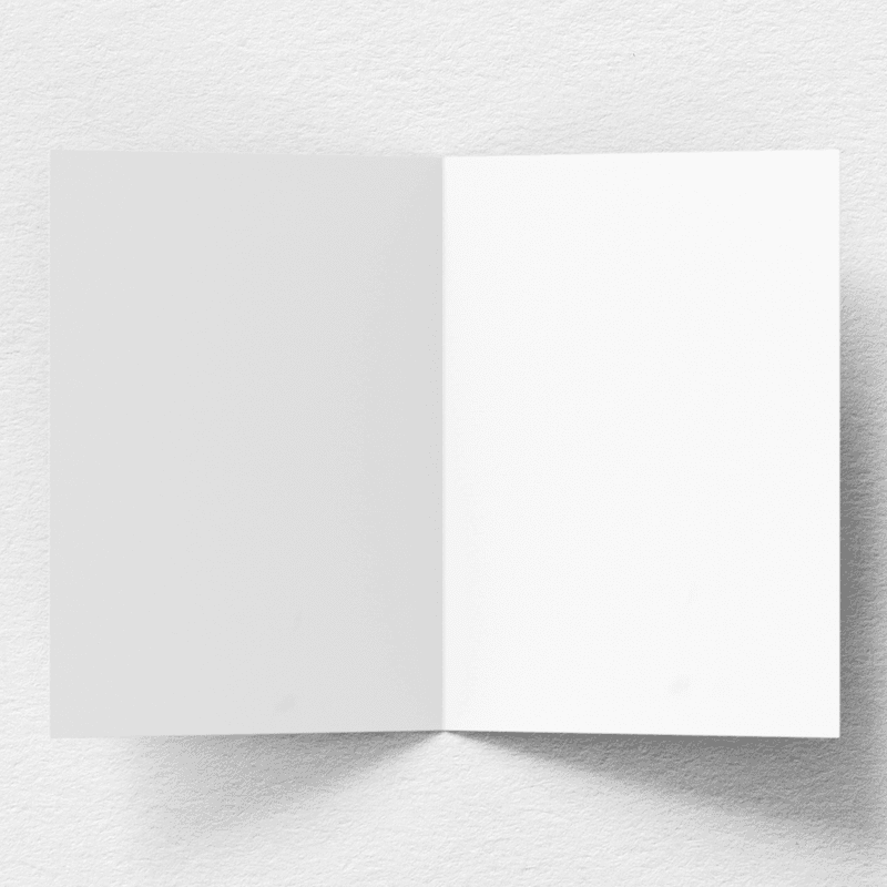 rendered_1